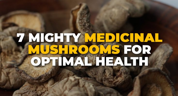 7 Mighty Medicinal Mushrooms for Optimal Health