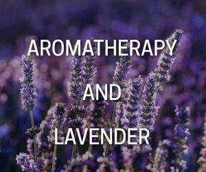 Aromatherapy, Lavender and Stress 