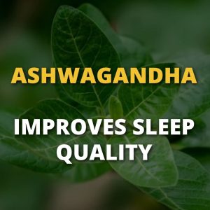 Ashwagandha Improves Sleep Quality