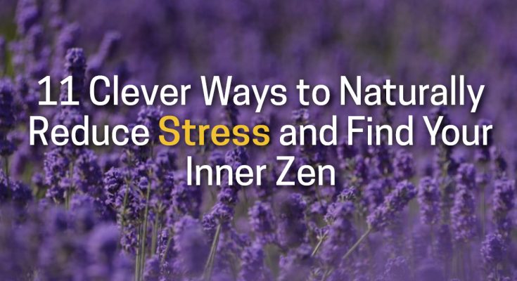 11 Clever Ways to Naturally Reduce Stress and Find Your Inner Zen