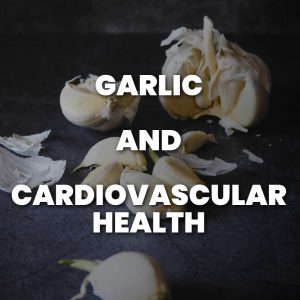 Garlic Supplements Cardiovascular Health Research
