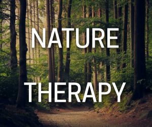 Nature Therapy Stress