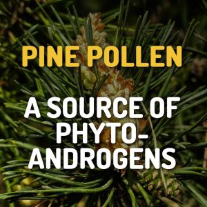 Pine Pollen A Source Of Phyto-Androgens