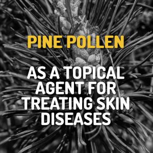 Pine Pollen As A Topical Agent For Treating Skin Diseases