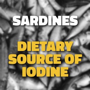 Sardines Dietary Source Of Iodine