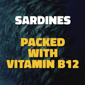 Sardines Packed With Vitamin B12