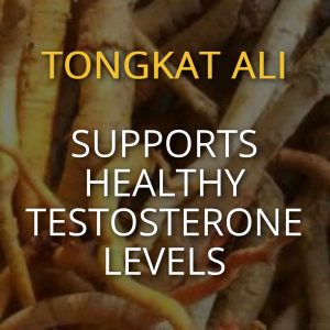 Tongkat Ali Supports Healthy Testosterone Levels