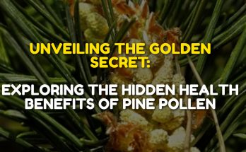Unveiling the Golden Se cret: Exploring the Hidden Health Benefits of Pine Pollen