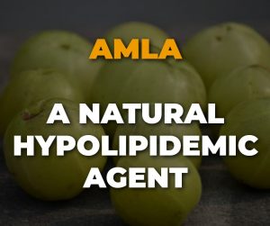 Amla A Natural Hypolipidemic Agent