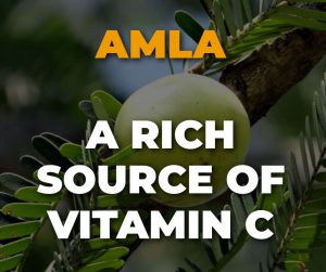 Amla - A Rich Source Of Vitamin C