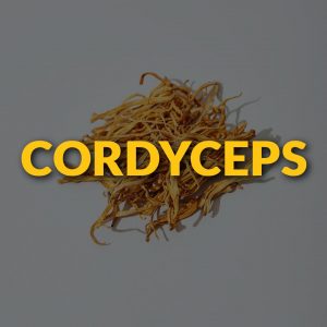 Cordyceps Men's Health Supplements