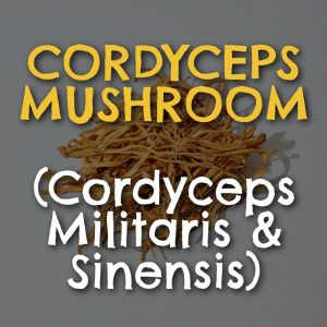 Cordyceps Mushroom 