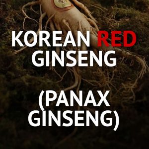 Korean Red Ginseng (Panax Ginseng) Men's Health Supplements Erectile Dysfunction
