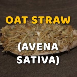 Oat Straw (Avena Sativa) Men's Health Herbs