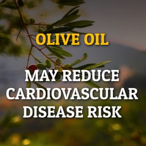 Olive Oil May Reduce Cardiovascular Disease Risk