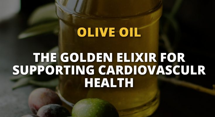 Olive Oil: The Golden Elixir For Supporting Cardiovascular Health