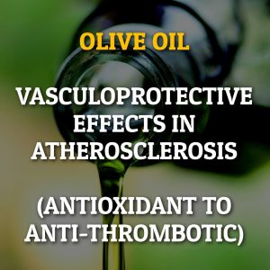 Olive Oil's Vasculoprotective Properties In Atherosclerosis (Antioxidant to Anti-Thrombotic)