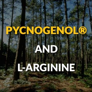 Pycnogenol & L-Arginine Supplements Erectile Dysfunction