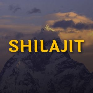 Shilajit Mens Health Supplements