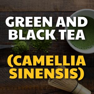 Green & Black Tea (Camellia Sinensis) Endothelial Function Superfoods