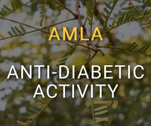 Amla Diabetes Anti-Diabetic Activity Research