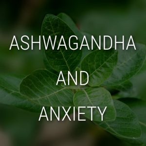 Ashwagandha - "Indian Ginseng" - The Ayurvedic Adaptogen Herb For Anxiety & Stress