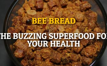 Bee Bread: The Buzzing Superfood For Your Health!