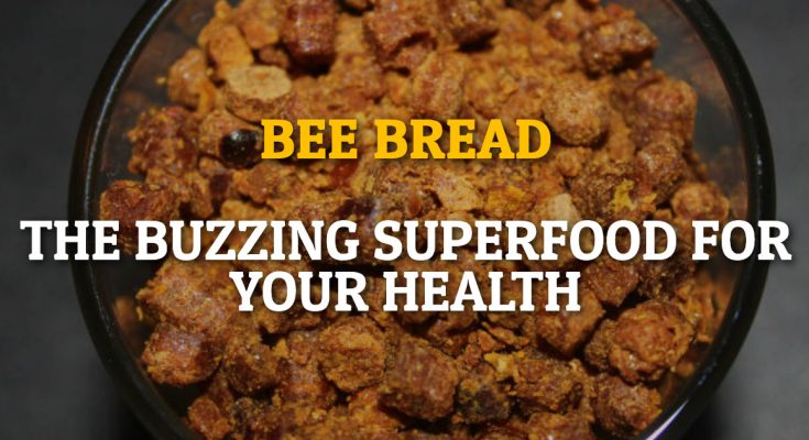 Bee Bread: The Buzzing Superfood For Your Health!