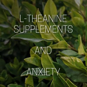 L-Theanine Supplements Anxiety