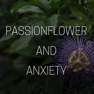 Passionflower Anxiety Herbs Supplements