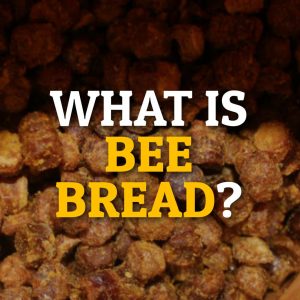 What is bee bread?