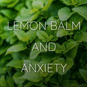 Lemon Balm Anxiety Supplements