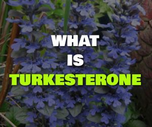 What Is Turkesterone?